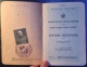 Passport Kingdom Of SHS-Passeport-putn Isprava-delivre A Dusseldorf (74.) - Historical Documents