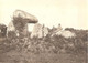 Dépt 29 - TRÉGUNC - Dolmen De Trégunc, Près Pont-Aven - Photographie Collée Sur Carton D'origine, 1904 - Photo - Trégunc