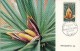 Nouvelle Calédonie Maximum Carte ( X 4 ) Fleurs Flore Maxicard Flowers - Covers & Documents