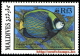 "50% DISCOUNT WWF - MALDIVES - 1986 - Stamp - Official Stamp Set -" - Autres & Non Classés