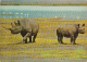 3694- RHINOCEROS, POSTCARD - Rhinoceros