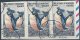 TAAF - 3 Fragments De 1955 - 3 Scans - Used Stamps