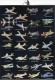 NC - Pin's 1 - Avion - Flight - Flug - Armée De L'Air - Ouragan - Falcon - Fouga - Nord - Vautour - Etc Scan Recto Verso - Luchtvaart