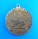 CROATIAN WRESTLING FEDERATION - Croatian Championship For Pioneers 1985. Medal * Lutte Lotta Lucha Ringen Luta Medaille - Andere & Zonder Classificatie