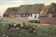 ALTE POSTKARTE PARTIE AUS KLINTUM FRIESISCHE LANDSCHAFT LECK HOF NAHNSEN ? BAUERNHAUS BAUERNHOF Farm House Ferme Cow - Autres & Non Classés