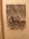 Delcampe - Patira. Raoul De Navery. édition Populaire Très Illustrée (Lemaître, Zier, Castelli...). Sd (1890) - Aventura