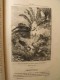 Delcampe - Patira. Raoul De Navery. édition Populaire Très Illustrée (Lemaître, Zier, Castelli...). Sd (1890) - Aventura