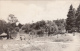 Real Photo - Mexico - Bosque De Chapultepec - Park - Animated - Written - Stamp & Postmark 1950s - 2 Scans - Mexico