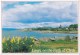 Largs, On The Firth Of Clyde, Scotland -  Whiteholme 8301, Posted Glasgow 1995 - Ayrshire