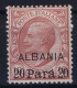 Italy: Levant Albania Sa Nr 8 MH/* - Albanië