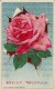 Best Wishes - Pink Rose - Autres & Non Classés