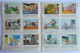 TRES RARE ALBUM ALLEMAND AMERICANA MÜNCHEN ASTERIX  - Pas Panini - COMPLET De Ses 290 Images (1) - Altri & Non Classificati