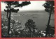 CARTOLINA VG ITALIA - TRIESTE - Panorama - 10 X 15 - ANNULLO BOLOGNA 1963 - Trieste