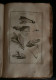 Delcampe - ELEMENS DE BOTANIQUE Ou METHODE POUR CONNOITRE LES PLANTES PITTON De TOURNEFORT 1797 489 Planches 6 Volumes - 1701-1800