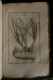 Delcampe - ELEMENS DE BOTANIQUE Ou METHODE POUR CONNOITRE LES PLANTES PITTON De TOURNEFORT 1797 489 Planches 6 Volumes - 1701-1800