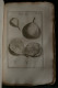 Delcampe - ELEMENS DE BOTANIQUE Ou METHODE POUR CONNOITRE LES PLANTES PITTON De TOURNEFORT 1797 489 Planches 6 Volumes - 1701-1800