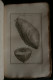 Delcampe - ELEMENS DE BOTANIQUE Ou METHODE POUR CONNOITRE LES PLANTES PITTON De TOURNEFORT 1797 489 Planches 6 Volumes - 1701-1800