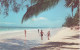 AK Barbados W. I. Dover Beach Barbuda Strand Antillen Karibik Caribic West Indies - Barbados (Barbuda)