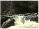 (ORL 899) Canoe Kayak - Water Rafting - Rowing