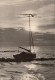 5477- ZINGST- BOAT IN SUNSET, POSTCARD - Zingst