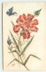 N°1244 - Collage De Timbres - Cut Stamps - Oeillet Et Papillon - Timbres (représentations)