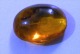 Amber Dominican Republic With Insects: Thysanura - Lot.8 - Fossils
