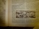 1919 LPDF:Fanions LPDF à L' Escadrille Américaine;ODESSA ;Un SINGE Domestiqué Pourrait Faire Des Tâches Simples Gratuit - Frans