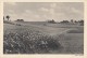 6003- ZITTAU- COUNTRYSIDE LANDSCAPE, PLAIN, POSTCARD - Zittau