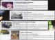 Wertvolles Sammeln In MICHEL 1/2014 Neu 15€ Sammel-Objekt Luxus Information Of The World New Special Magacine Of Germany - Allemand