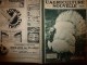 1932 L´AGRICULTURE NOUVELLE : Moteurs Semi-Diesel,Diesel Et Super-Diesel ;En NORVEGE;Faire Des Belles Endives; RECETTES - 1900 - 1949