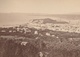 NICE - Vue Prise Du Mont-Boron - Photogr. Années 1860-70 - Gd Format 28 X 14 Cm - Anciennes (Av. 1900)