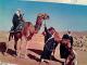 SAUDI ARABIA/ARABIE SAOUDITE -CAMEL  CAMMELLI  E BEDUINI  ANIME  VB1977 EN9419 - Arabia Saudita