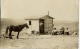 Cabane Cheval Writing On Back Uncle Jim Cabin In Wyoming Horse Dog - Autres & Non Classés