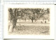 A BICYCLETTE  -   Sous Les Arbres - Carte Double - Cyclisme