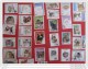 Timbres Chat Cat Gato Katze Gatto Pisica Katt - Domestic Cats