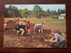 Openluchtschool Voor Bosklassen Domein " Diesterweg " / Anno 1980 ( Zie Foto Voor Details ) !! - Kalmthout