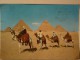 Cart. -  Egitto Giza -  Cammellieri Arabi Di Fronte Alle Piramidi. - Girga