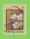 Delcampe - TIMBRES - CUBA - LOT DE 10 TIMBRES DE FLEURS - USED - FLOWERS - - Collezioni & Lotti