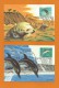 USA  Baltimore MD Moscow USSR  1990 , Whale Sea Otter - Set Of 4 Maximum Cards - October 3-1990 - 4 Scan - - Cartes-Maximum (CM)