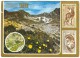 Slovakia, VYSOKE TATRY, Used Postcard [14135] - Slovakia