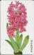 Telefoonkaart.- Duitsland. Telefonkarte 12 DM. Hyazinthe. Hyacint. Hyacinthus Orientalis. - P & PD-Reeksen : Loket Van D. Telekom