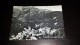 C-19088 CARTOLINA MADONNA DI CAMPIGLIO M.1550 - PANORAMA - Trento