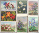 LOT 11X  Litho Illustrateur Amag  3440 SP GYGER Stehli Fleurs Des Alpes Montagne Edelweiss Etc - Collections & Lots