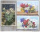 LOT 11X  Litho Illustrateur Amag  3440 SP GYGER Stehli Fleurs Des Alpes Montagne Edelweiss Etc - Collections & Lots