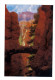 Etats Unis: Bryce Canyon National Park, Bridge Formation (14-3589) - Bryce Canyon