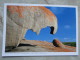 Australia  - Kangaroo Island  -S.A. - German  Postcard    D120986 - Kangaroo Islands