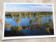 Australia   Murray River  -S.A. - German  Postcard    D121007 - Kangaroo Islands