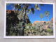 Australia   El Questro Gorge In Den   -Kimberley   -Western Australia -  German  Postcard    D121014 - Broome