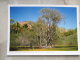 Australia - Wildlife Park - Billabong Sanctuary - Townsville  -Queensland  -  German  Postcard    D121106 - Townsville