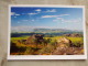 Australia  -Kakadu National Park - Northern Territory  -  German  Postcard    D121153 - Kakadu